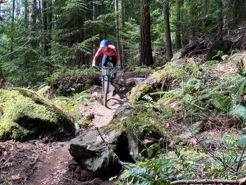 182301110_10227082665238841_2868012137465548530_n a man riding a bike down a dirt path in a forest